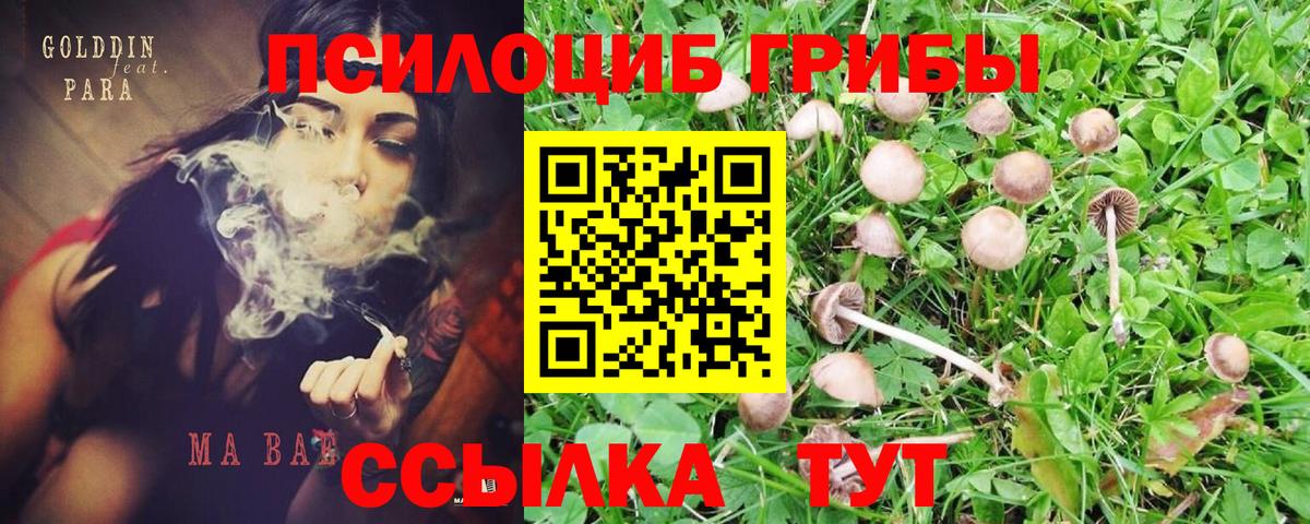Владикавказ  Галлюциногенные грибы Psilocybine cubensis  Галлюциногенные грибы GOLDEN TEACHER  Вход с VPN 